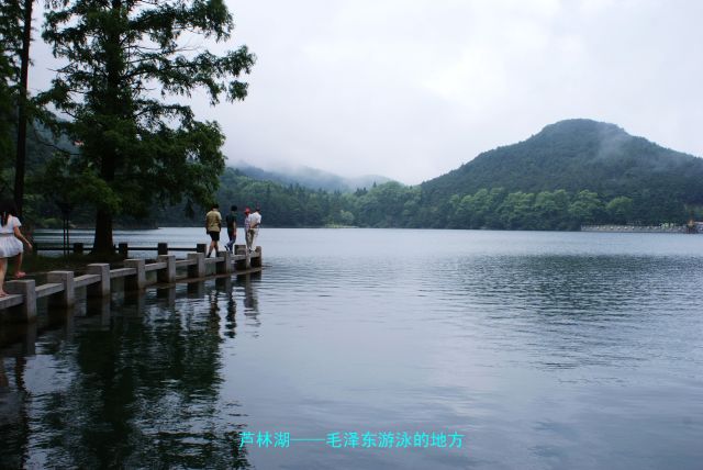 点击新窗口翻开大图