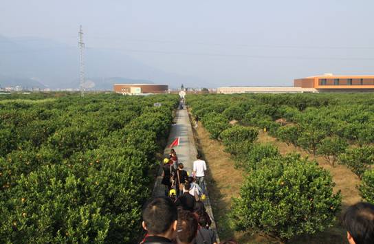 点击新窗口翻开大图